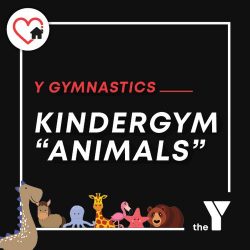 KinderGym Animals Video